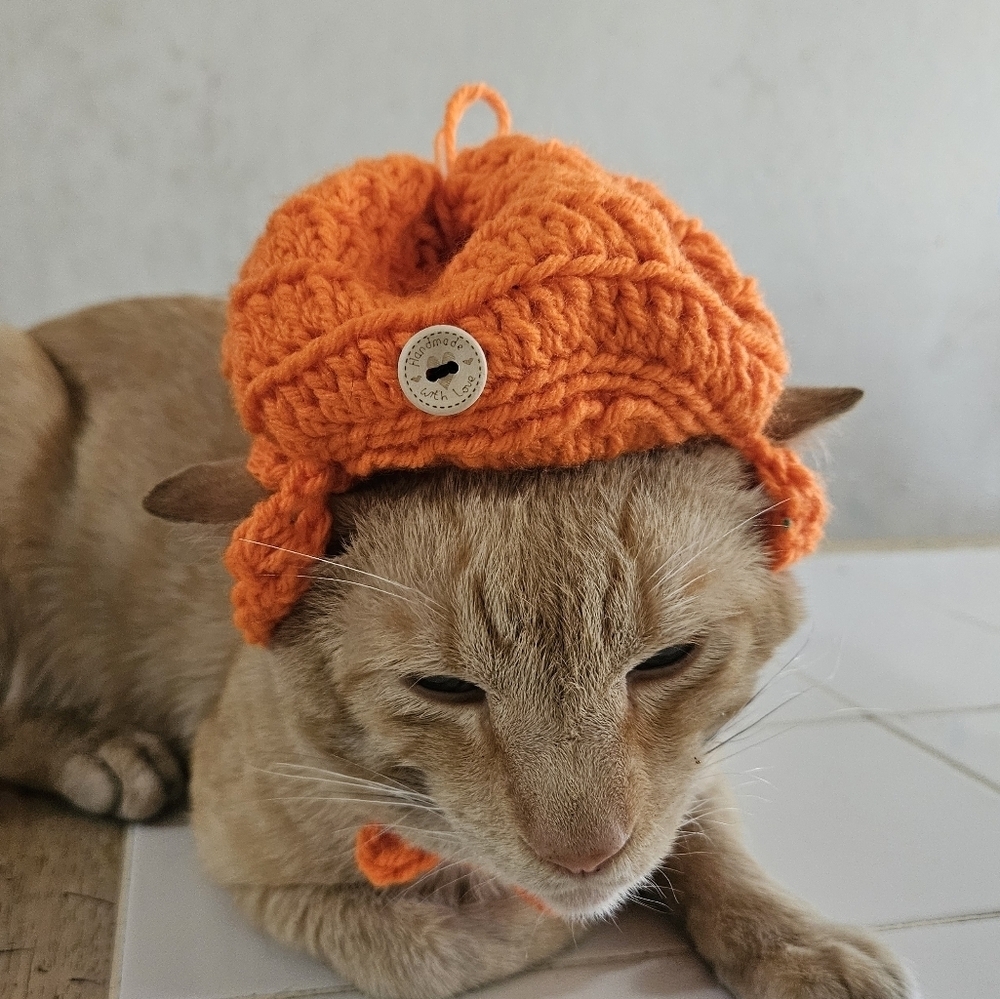 Handmade Halloween Crochet Pumpkin Hat for Cats or Small Dogs – Fall Pet Costume - Picture 11 of 16